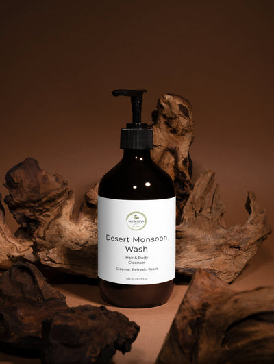 Desert Monsoon Wash
