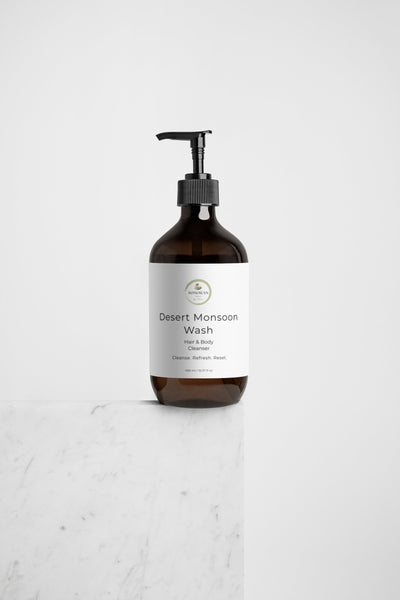 Desert Monsoon Wash